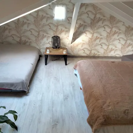 Chalet Sur Base De Loisirs *