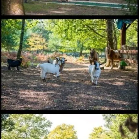 Sur Base De Loisirs Ла-Тест-де-Бюш