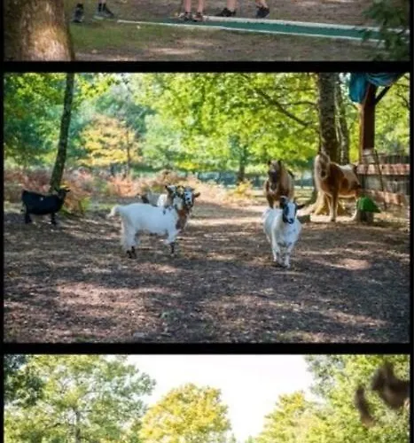 Sur Base De Loisirs La Teste-de-Buch