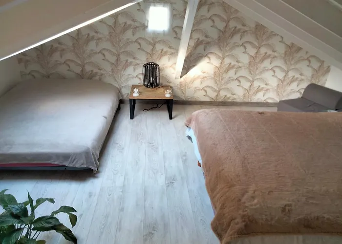 Chalet Sur Base De Loisirs *